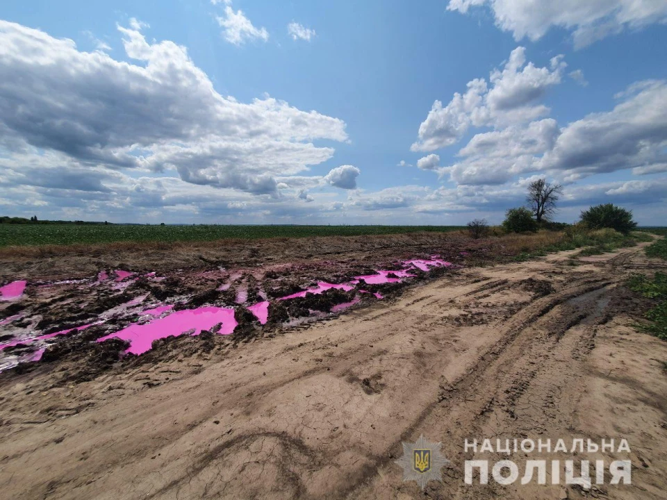 рожеві калюжі